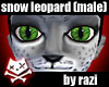 Snow Leopard Bundle