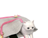 Kitten in my bag
