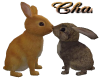 Cha`Zoo Ani Love Rabbits