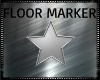 Silver Star Floor Marker