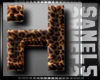 Leopard Letter H