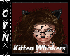 Kitten Whisker