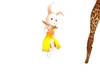 CuteLilBunnyRabbit