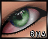 [SHA] Tired Green Eyes