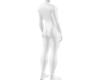 Full body Muscle scaler