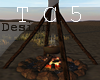 Desert campfire