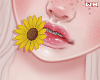w. Sunflower in Mouth