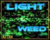 ( A )  LIGHT WEED