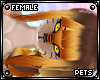 [PETS] Tigger | hair v4