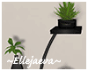 Lux Plant Shelf Decor