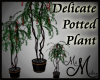 MM~ Tall Potted Tree