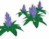 Animated Fantasy Flowers