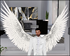 Male Angel Wings