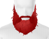 Red Beard Proerd Furry