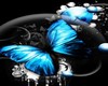 ~Blue Butterfly~