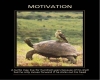 Turtle-Motivation