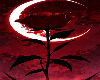 red rose moon ♡