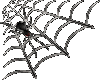 Spider1(Animated)