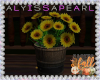 Autumn Porch Sunflowers
