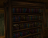 shelf of books 1