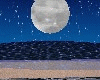 (VM) Moonlight Beach