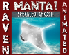 SPECKLED GHOST MANTA!