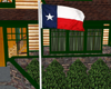 Dynamic Texas Flag