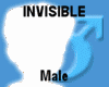 Invisible Avi M