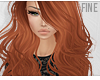 F| Neidio Ginger