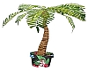 Animated Potted Palm