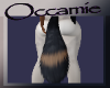 Paradox Tail