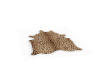 LB | Leopard Area Rug