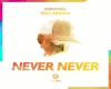 Drenchill - Never Never