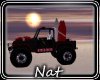 NT Beach Jeep