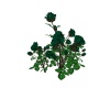 {LS} Green Rose Bush