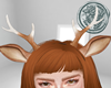 P༶  Deer Antlers