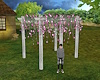 Full Blossom Pergola