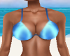 Blue Bikini Top