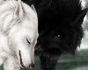 lover wolf