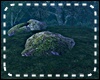 *Y* Cementery Add