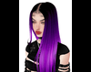 Gulya Purple Vibrance