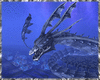 Underwater Dragons Anim
