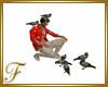 F: Pigeons