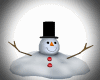 Melted Snowman Pet