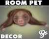 *BO ROOM PET SLOTH