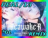 REA1/13-REAWARKE