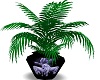 unicorn vase/plant