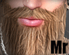 Beard.Mr