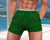 DS Men Green Shorts