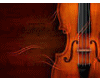 VIOLIN DUBSTEP